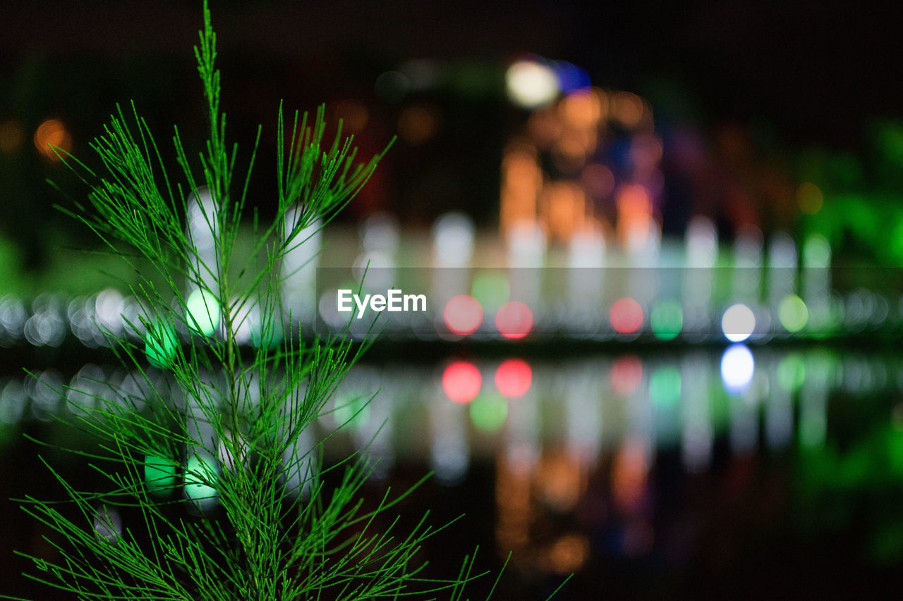 CLOSE-UP OF LIGHTS