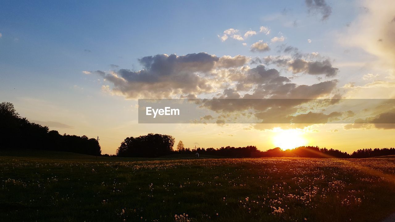 FIELD AGAINST SKY DURING SUNSET