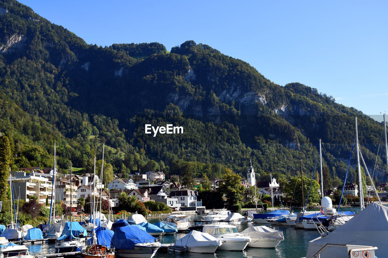 Boats moored at harbor against clear blue sky