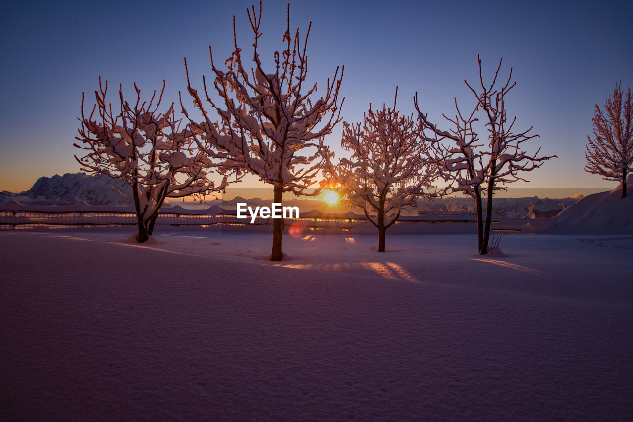 Bare trees on snow covered field against sky during sunset