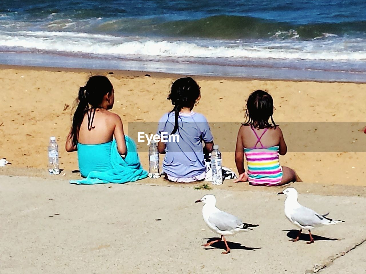 REAR VIEW OF FRIENDS ON BEACH