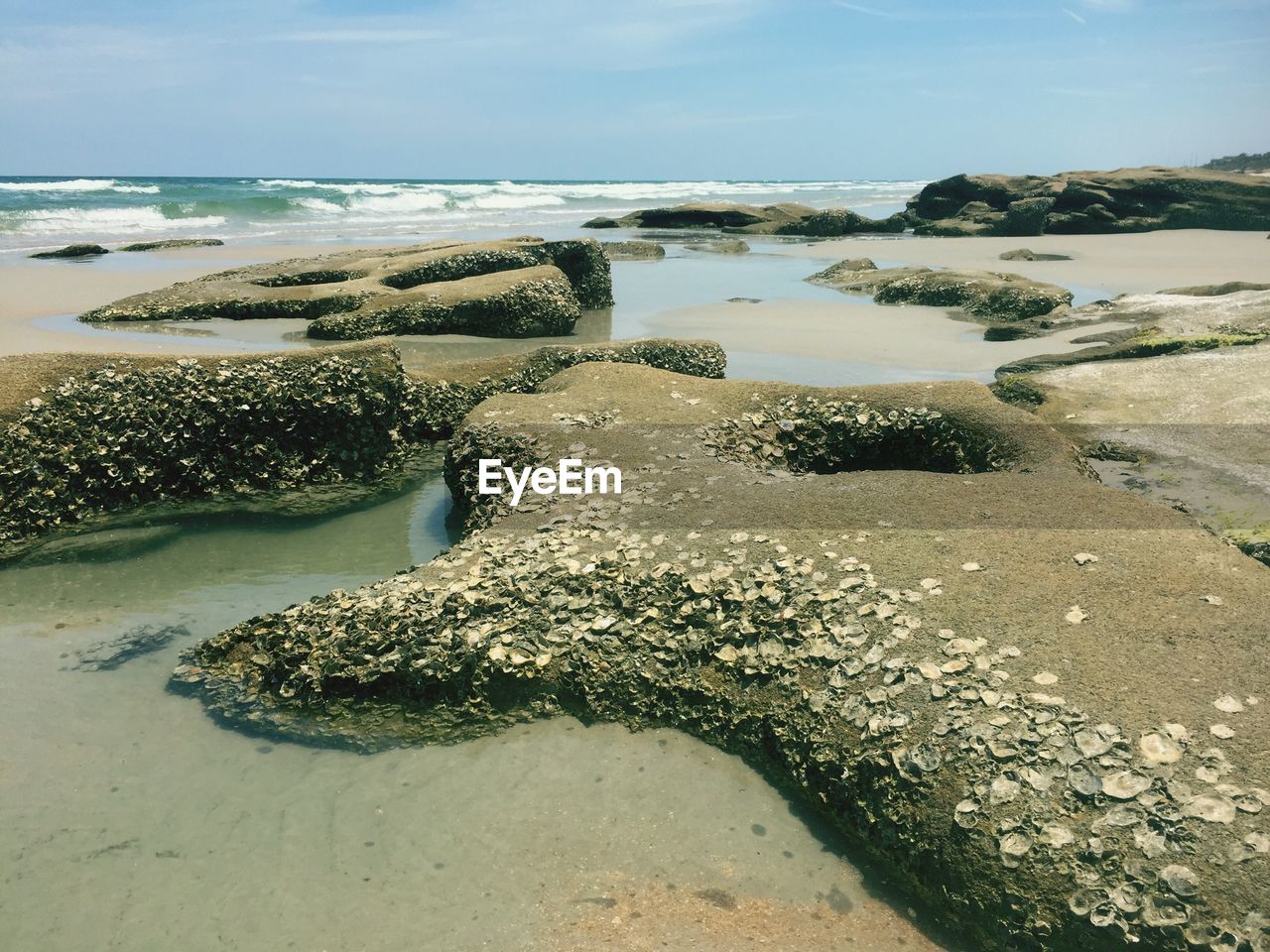 Scenic view of rock at beach against sky