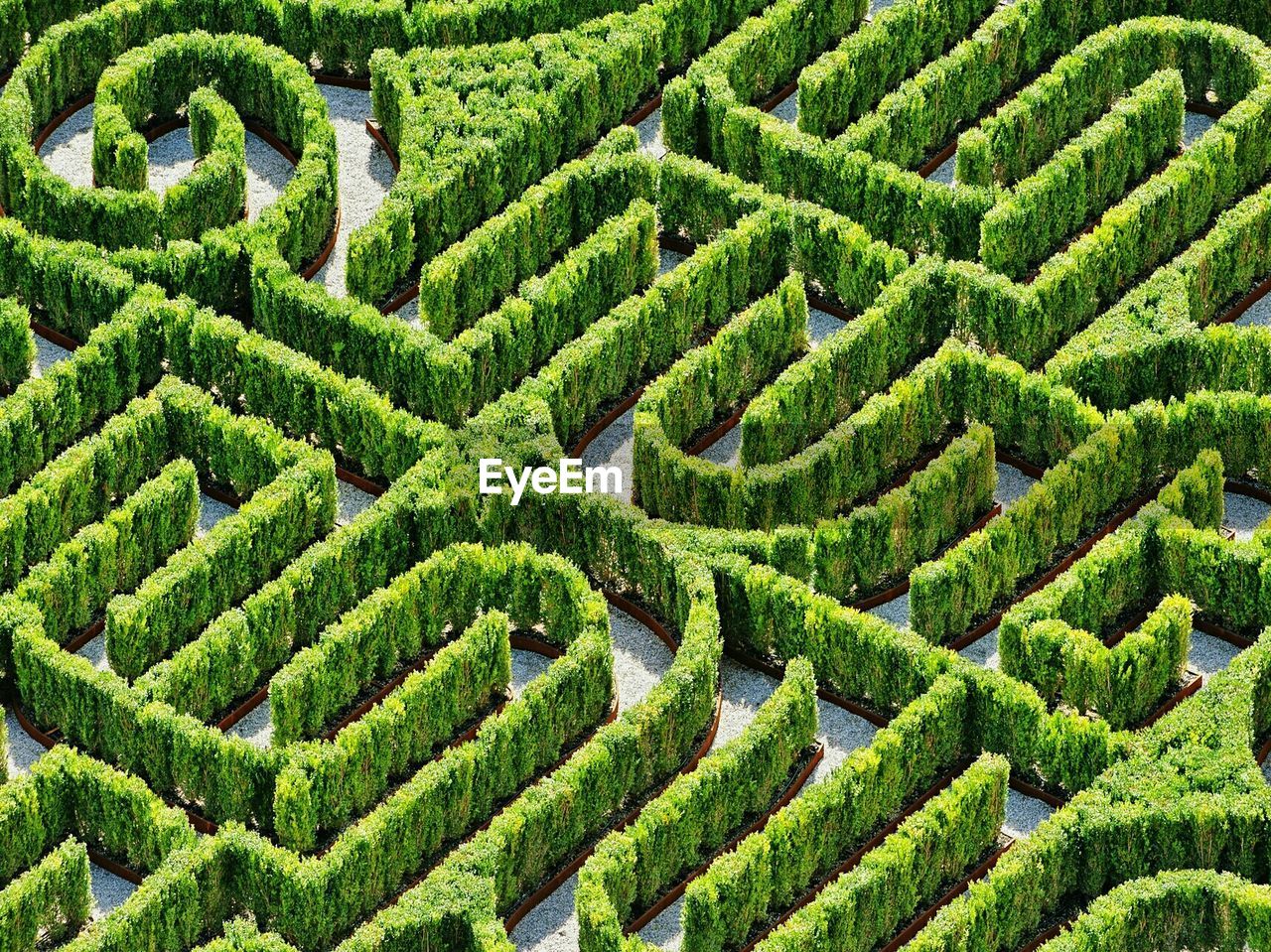 High angle view of plant maze