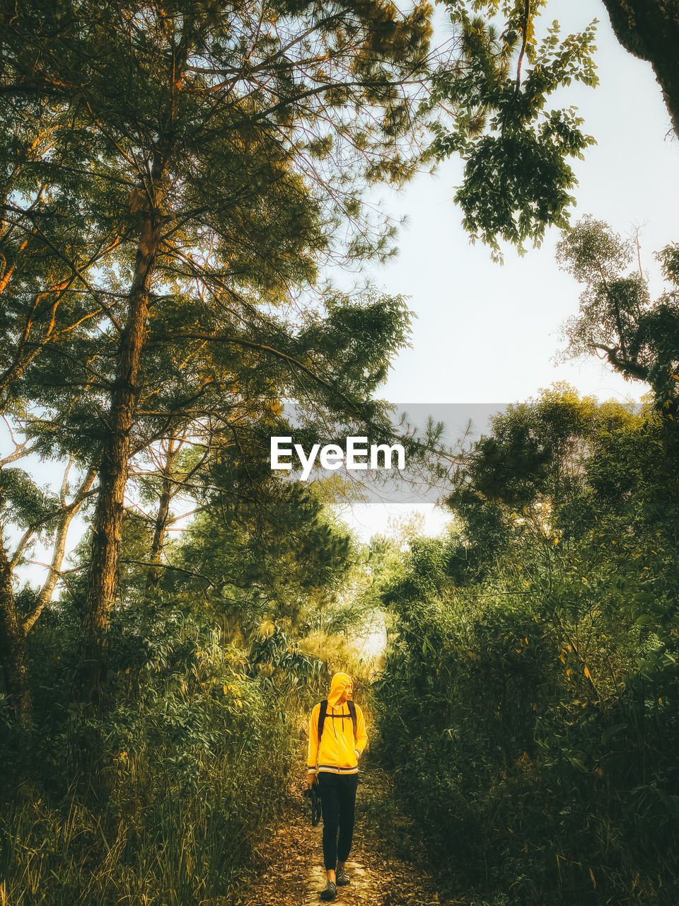 REAR VIEW OF WOMAN STANDING AMIDST TREES IN FOREST AGAINST SKY