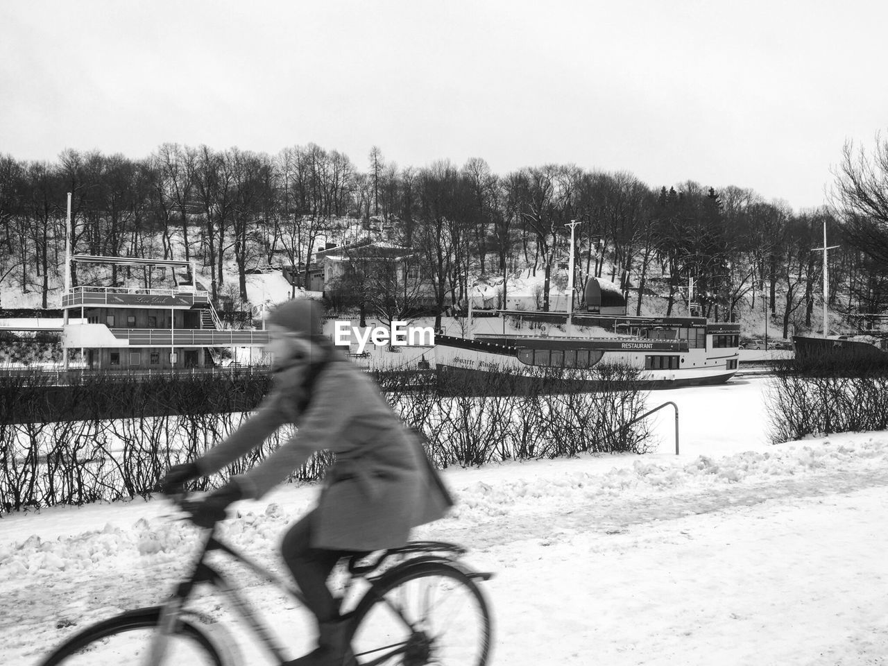 MAN RIDING BICYCLE AGAINST TREES