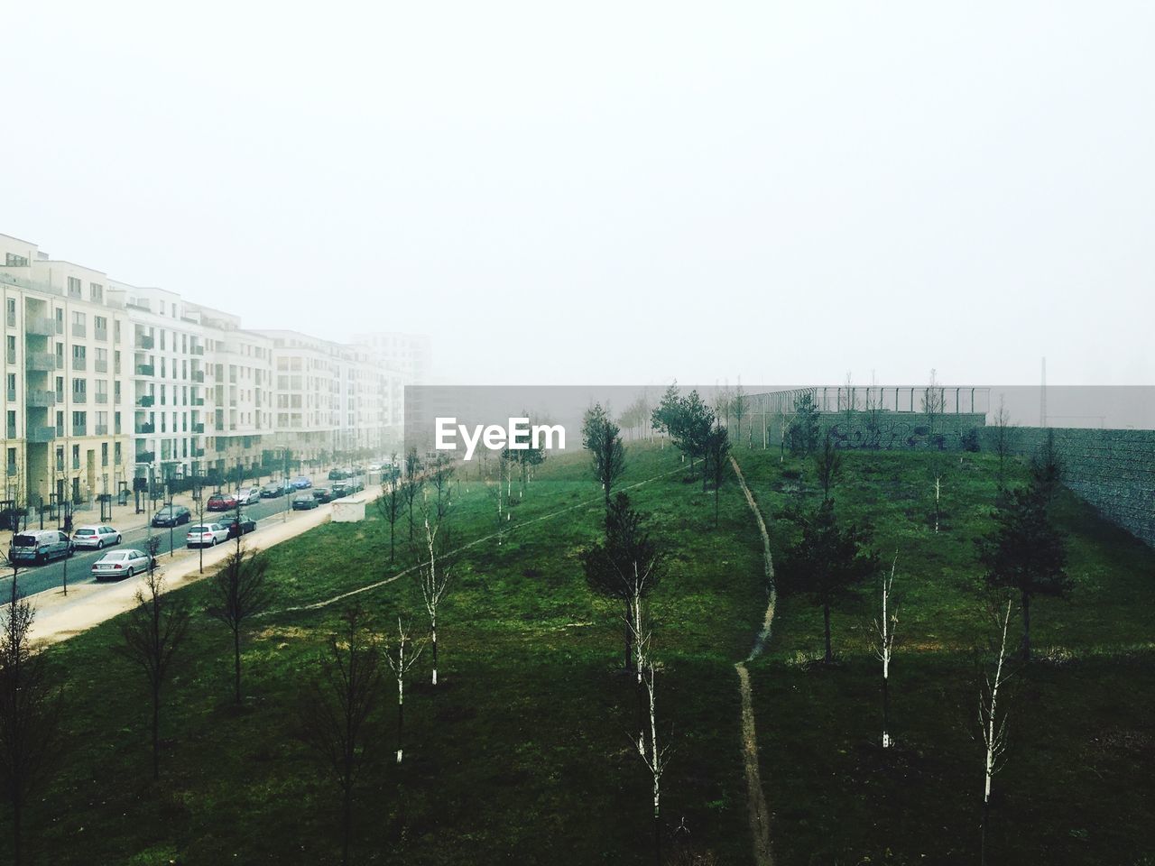 Grassy field by buildings against sky