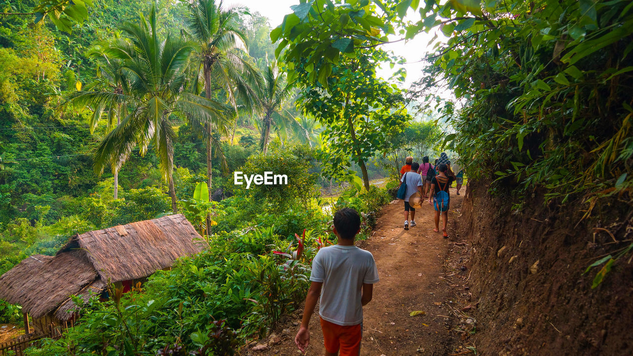 REAR VIEW OF PEOPLE WALKING ON PLANTS IN FOREST