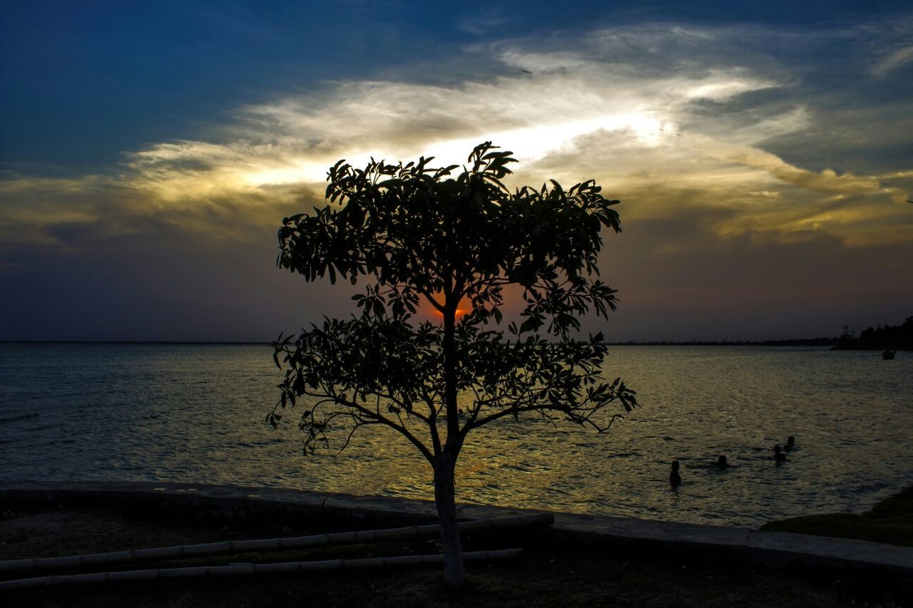 Silhouette tree against sea during sunset