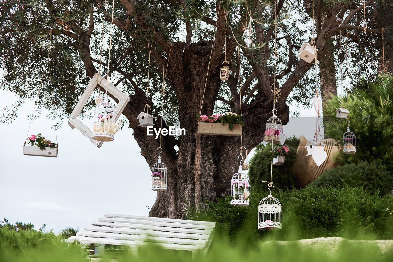 PANORAMIC SHOT OF SCULPTURE HANGING BY TREE