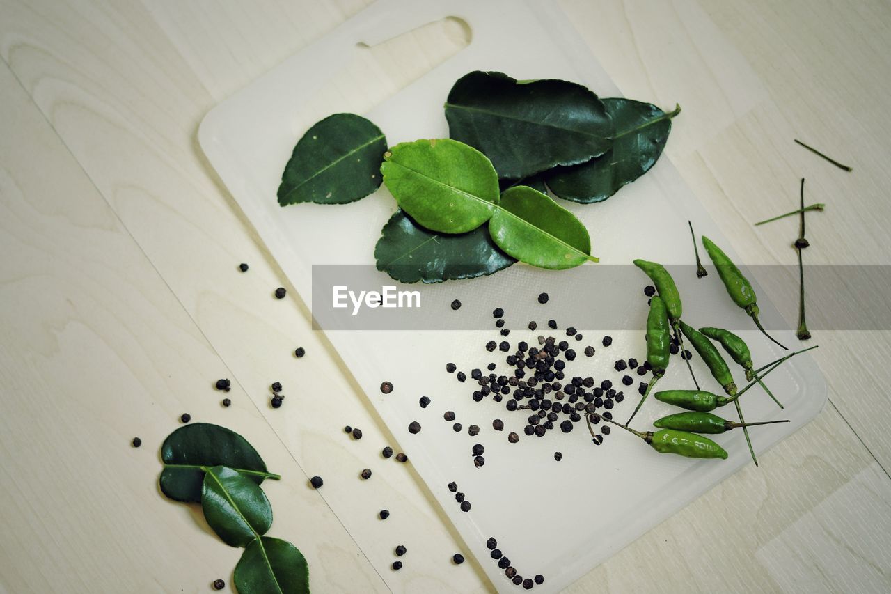 HIGH ANGLE VIEW OF LEAVES ON PLANT TABLE