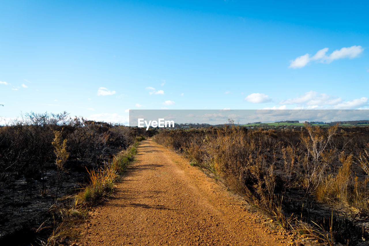 Dirt road amidst field against sky