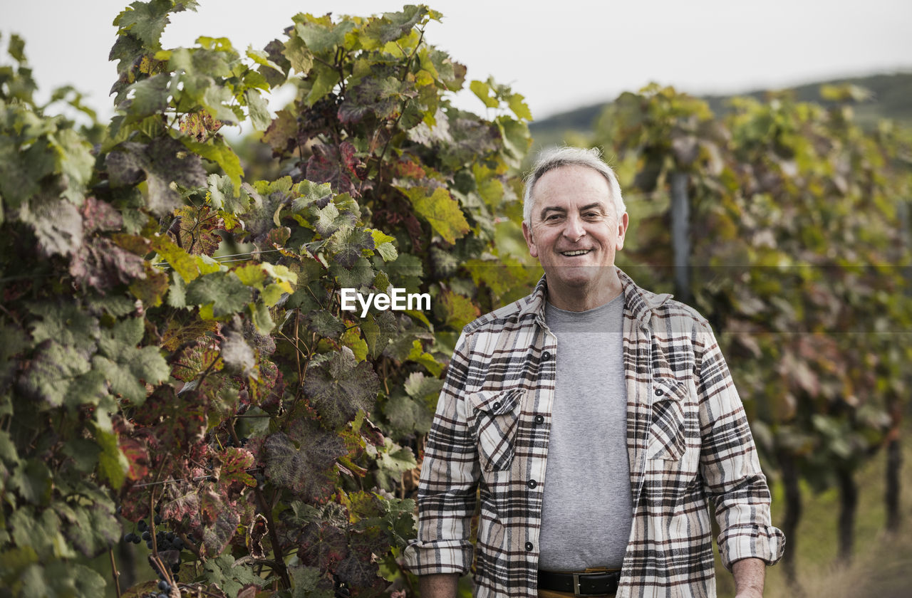 Happy farmer in checked shirt standing by grape plant