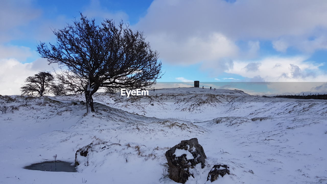 Bare tree on snow covered landscape against sky