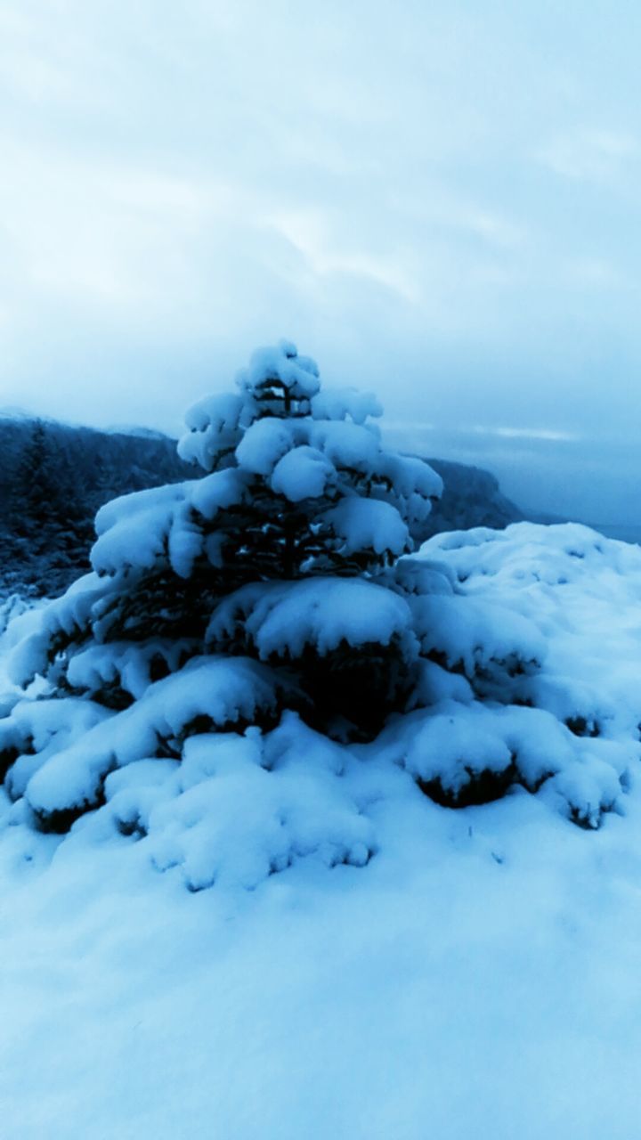 SNOW COVERED LANDSCAPE