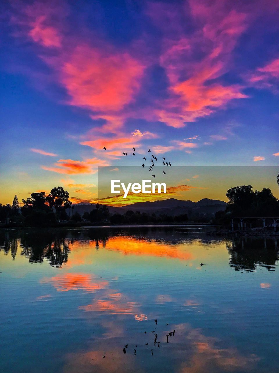 BIRDS FLYING OVER LAKE AT SUNSET