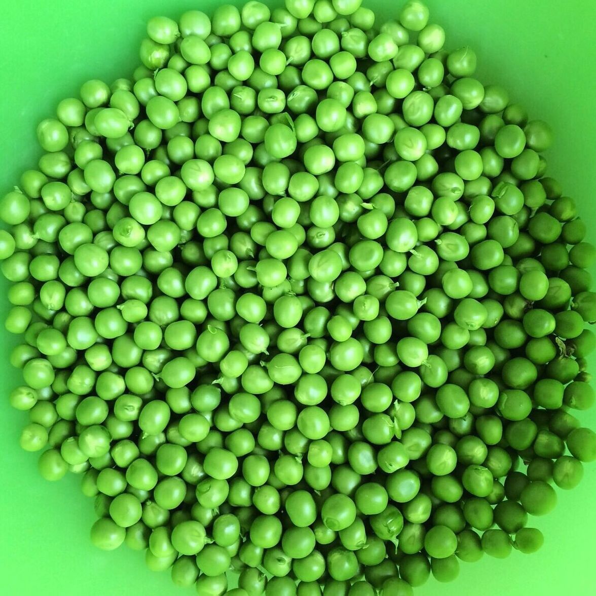 Close-up of green peas