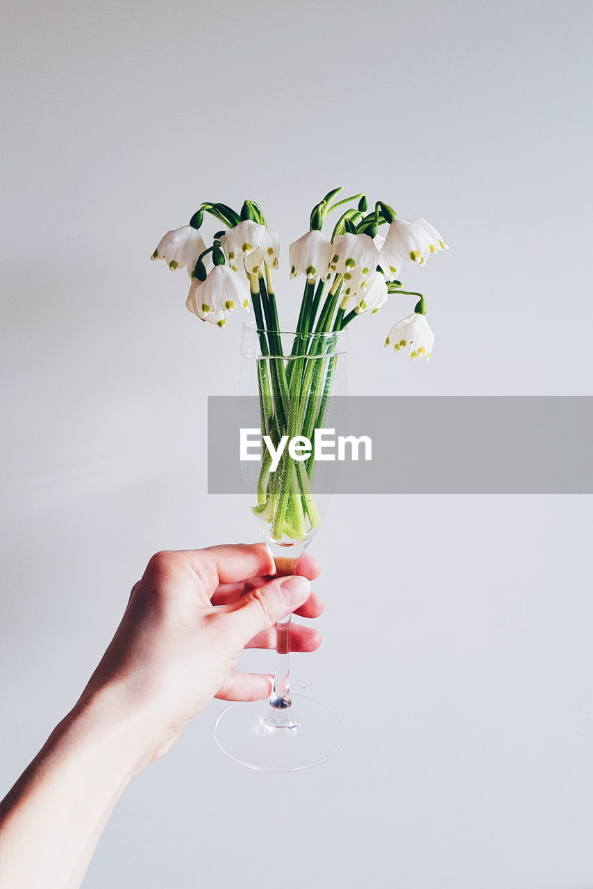 Cropped hand of woman holding flowers in wineglass against white background