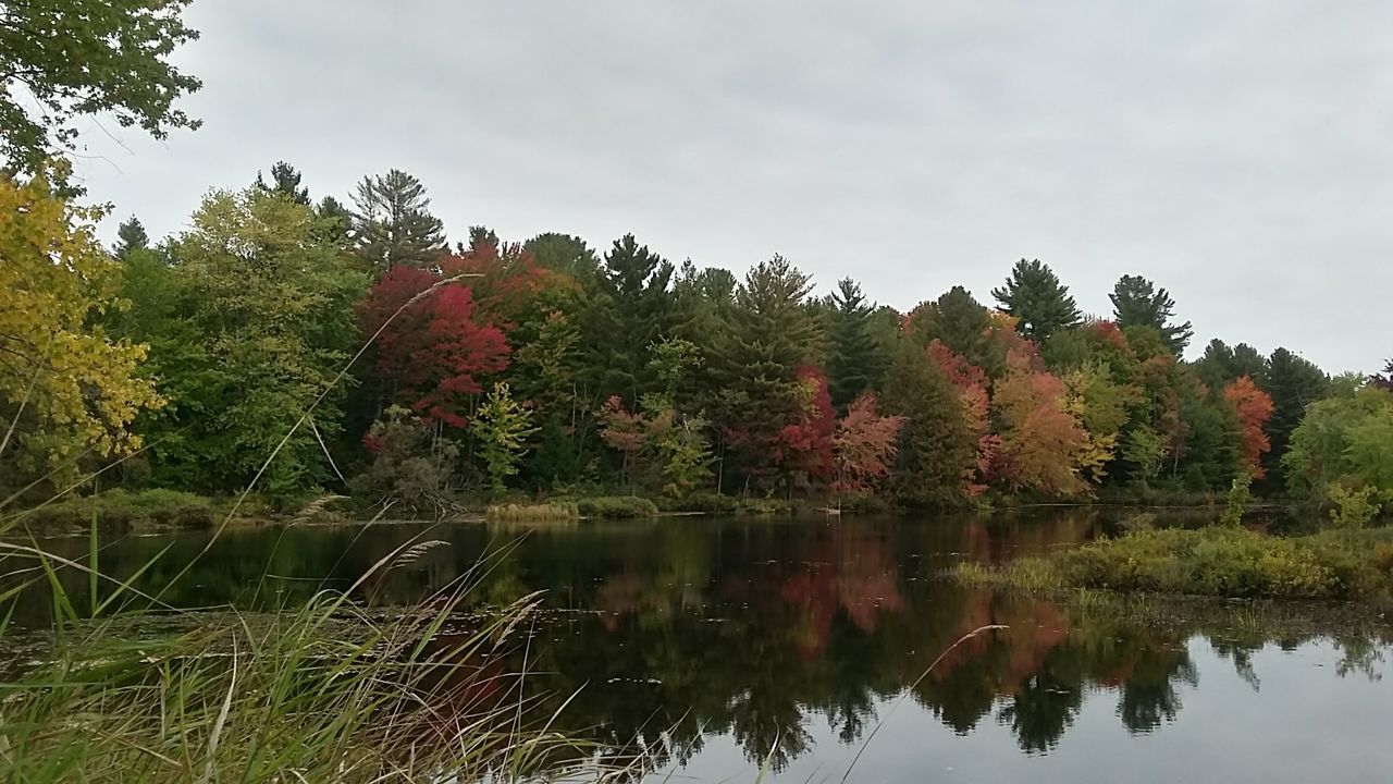 REFLECTION OF TREES AND LAKE AGAINST SKY