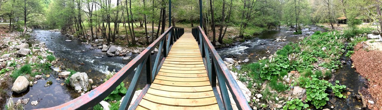 PANORAMIC VIEW OF FOOTBRIDGE IN FOREST