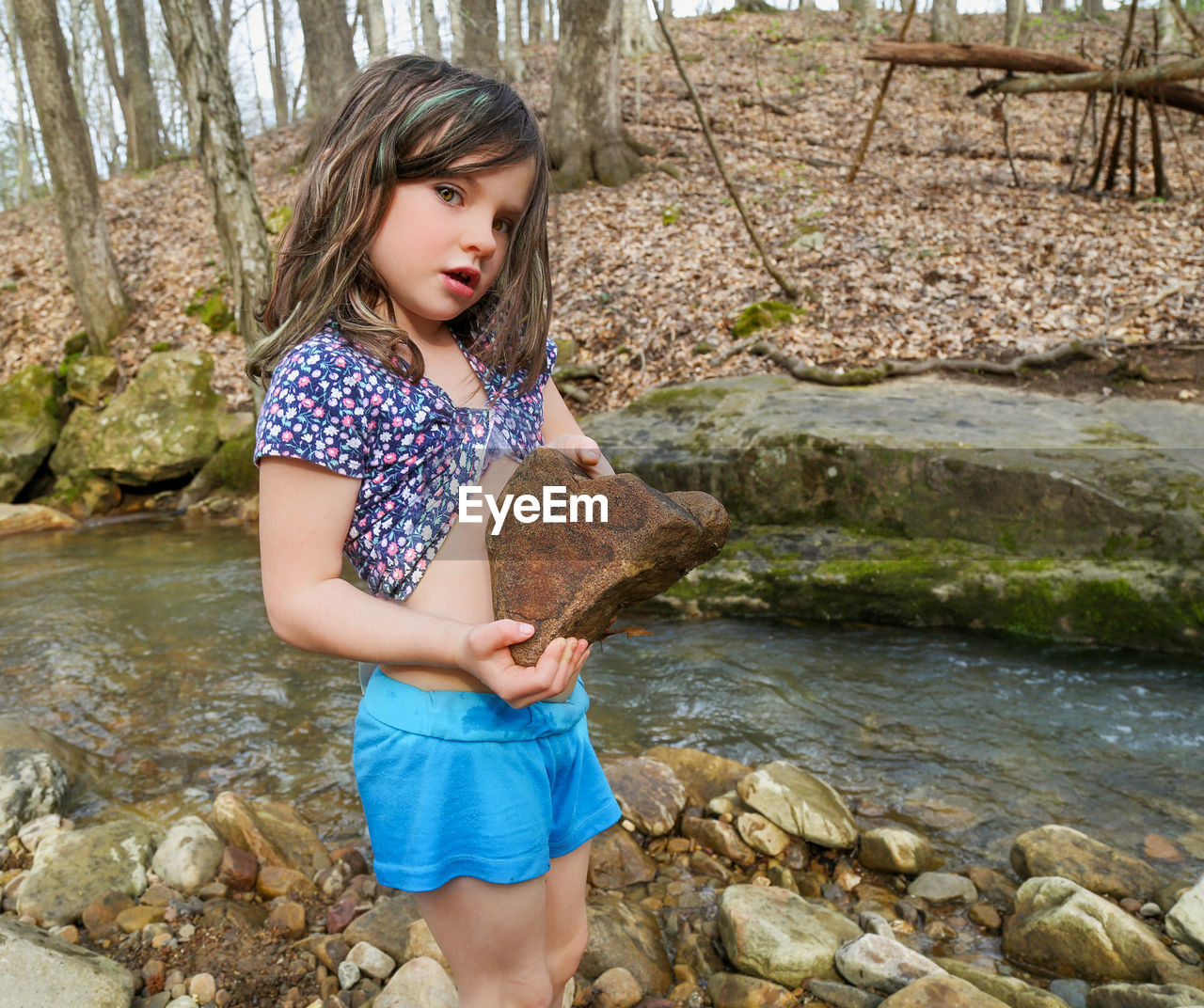 Portrait of cute girl holding rock while standing in forest