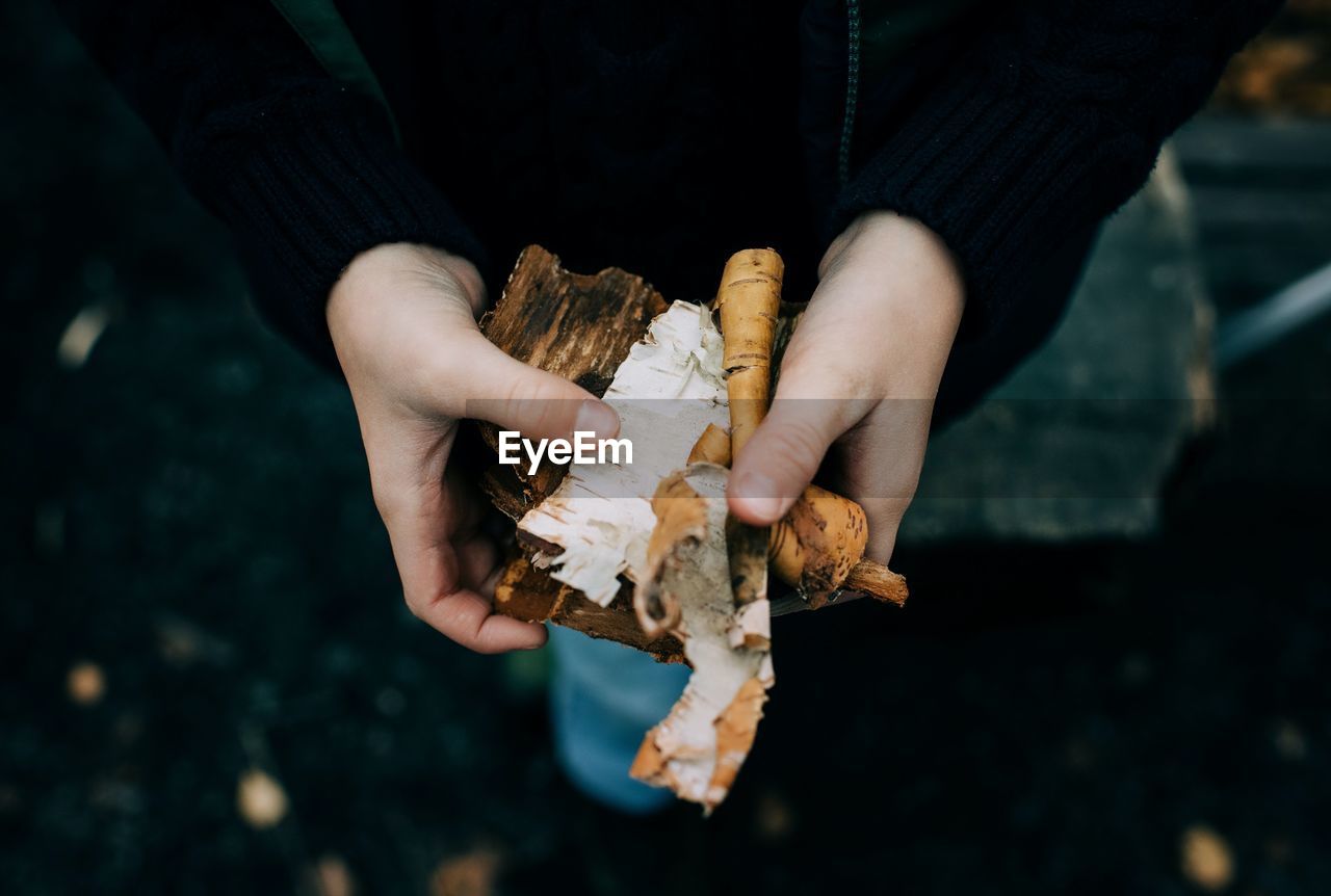 Child's hands holding wood to start a fire