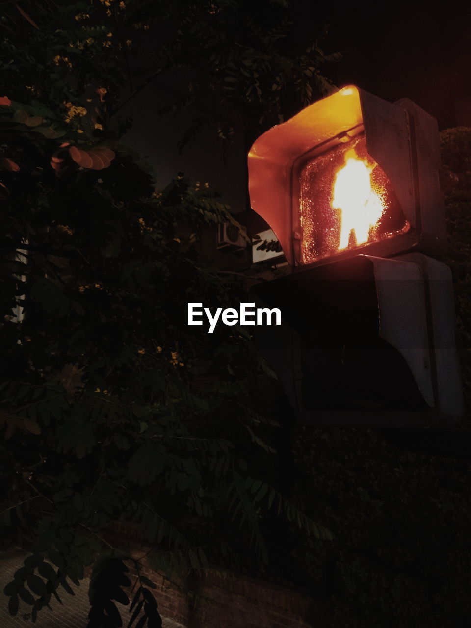 CLOSE-UP OF ILLUMINATED CHRISTMAS LIGHTS