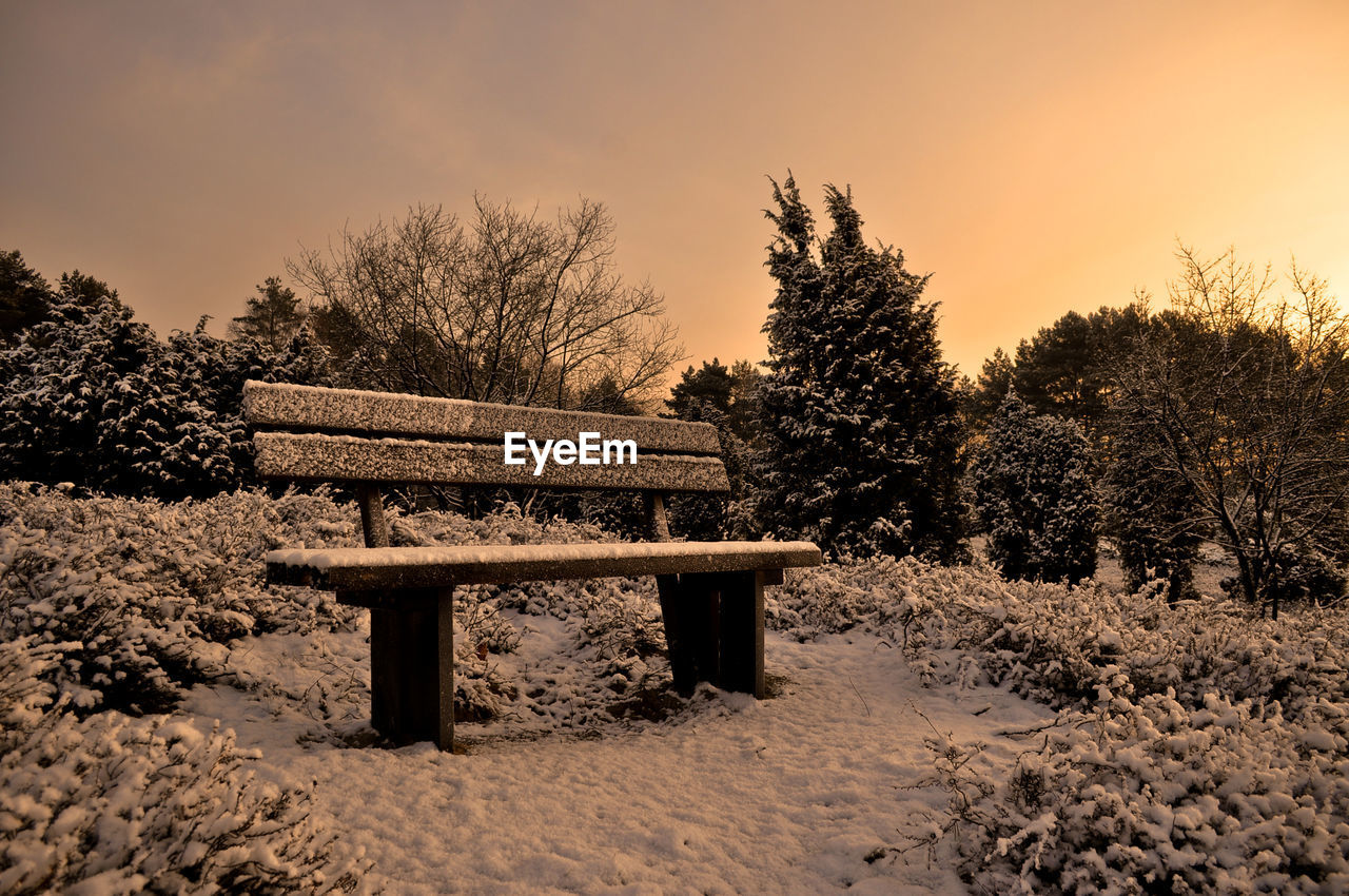 Empty bench on snow covered field by trees against clear sky