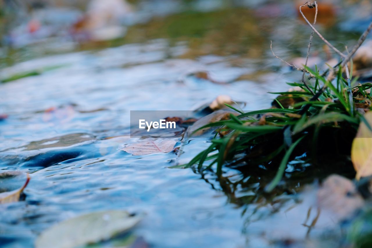 Close-up of water on beach