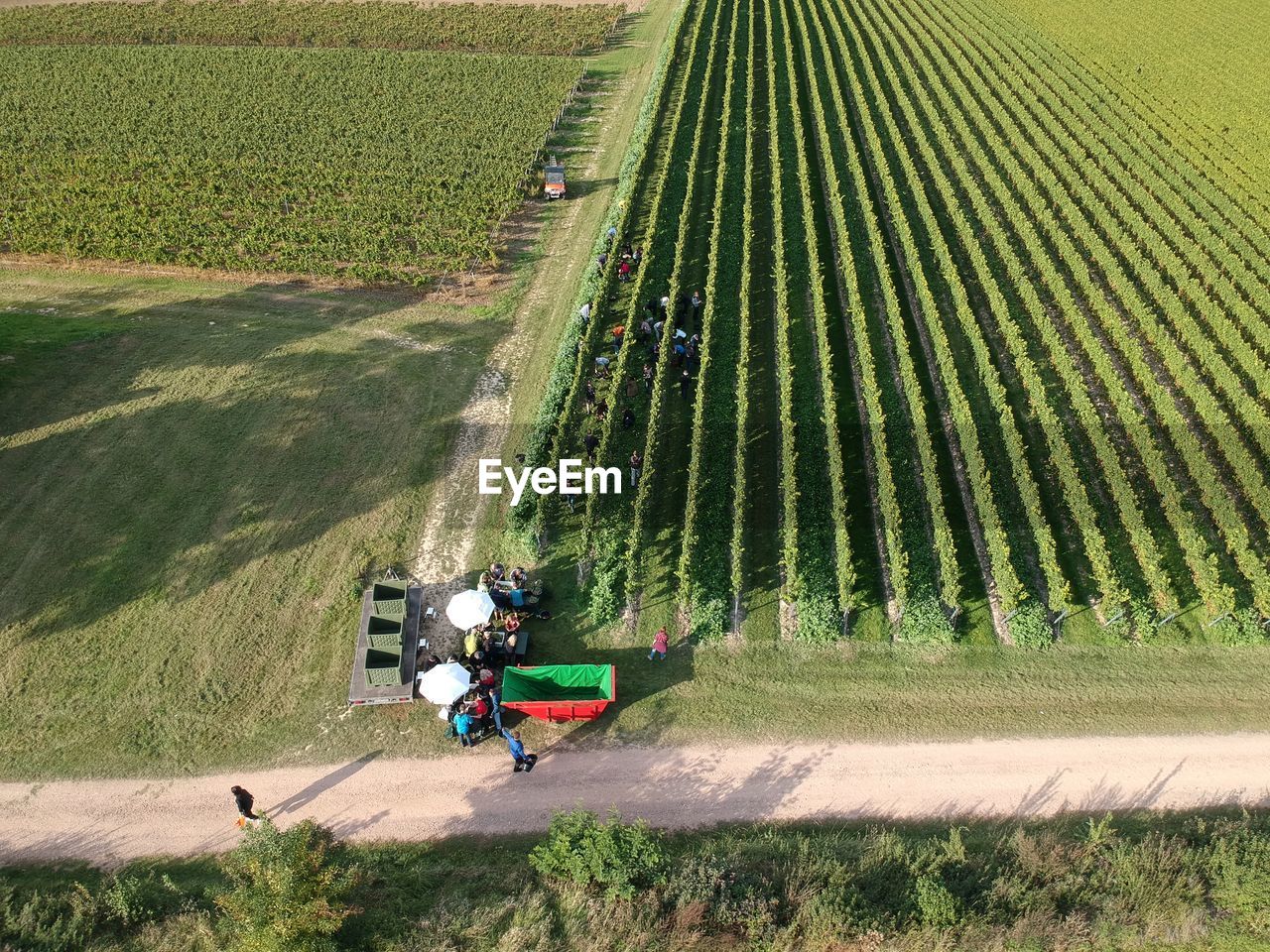 High angle view of people working on field