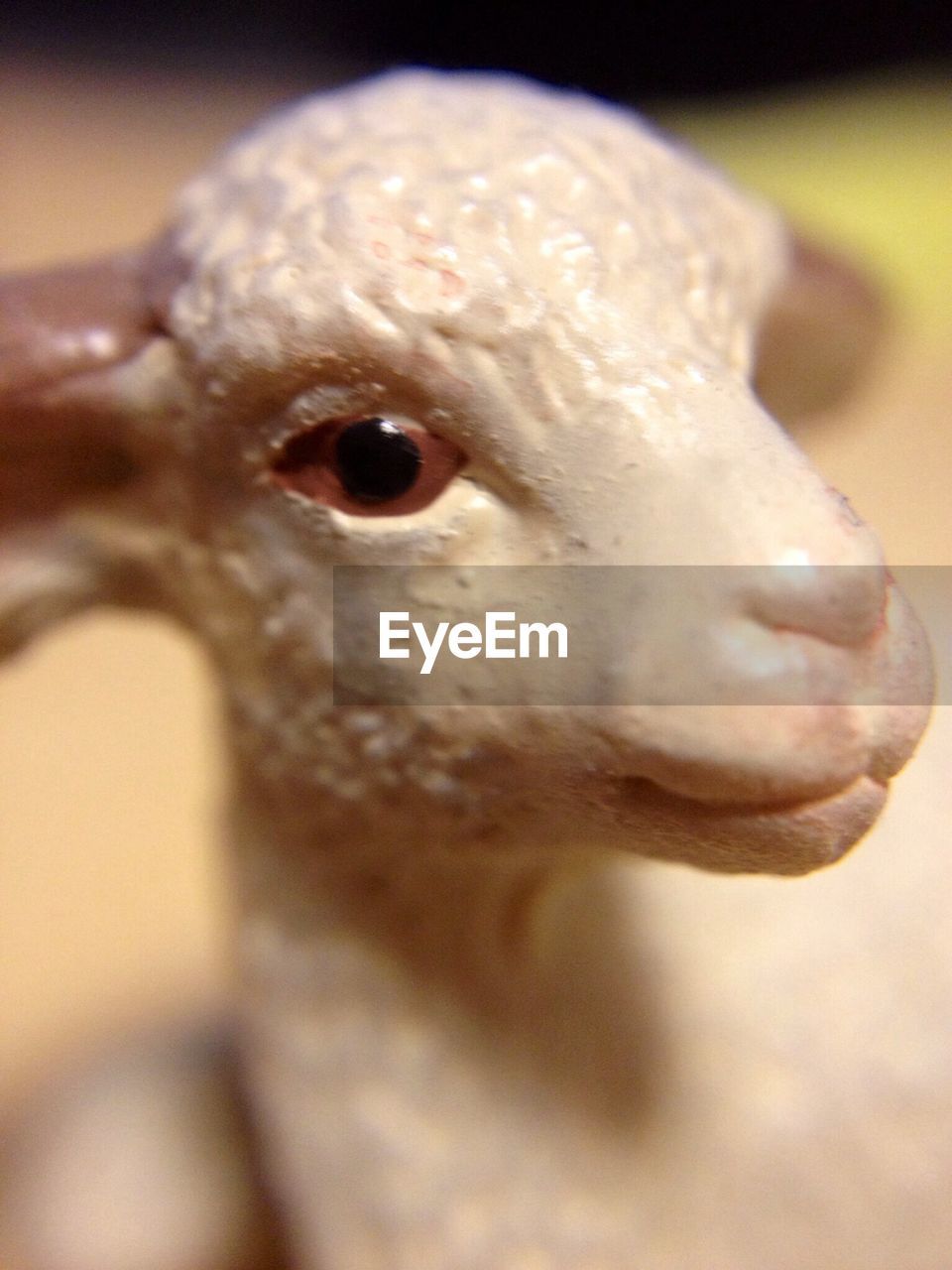 Close-up of sheep souvenir