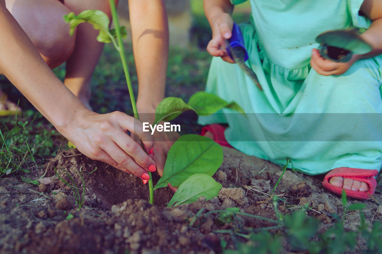 Low section of woman with daughter planting in yard