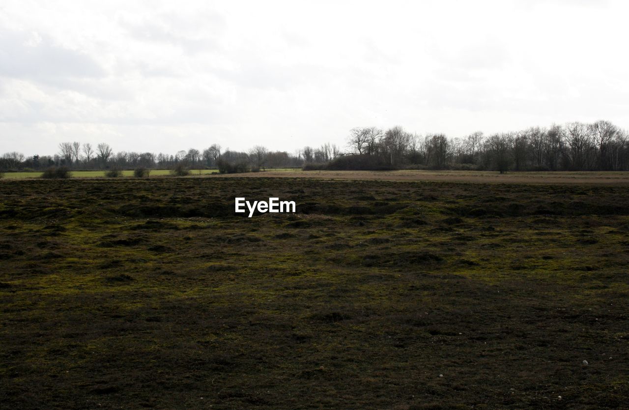 SCENIC VIEW OF LAND AGAINST SKY