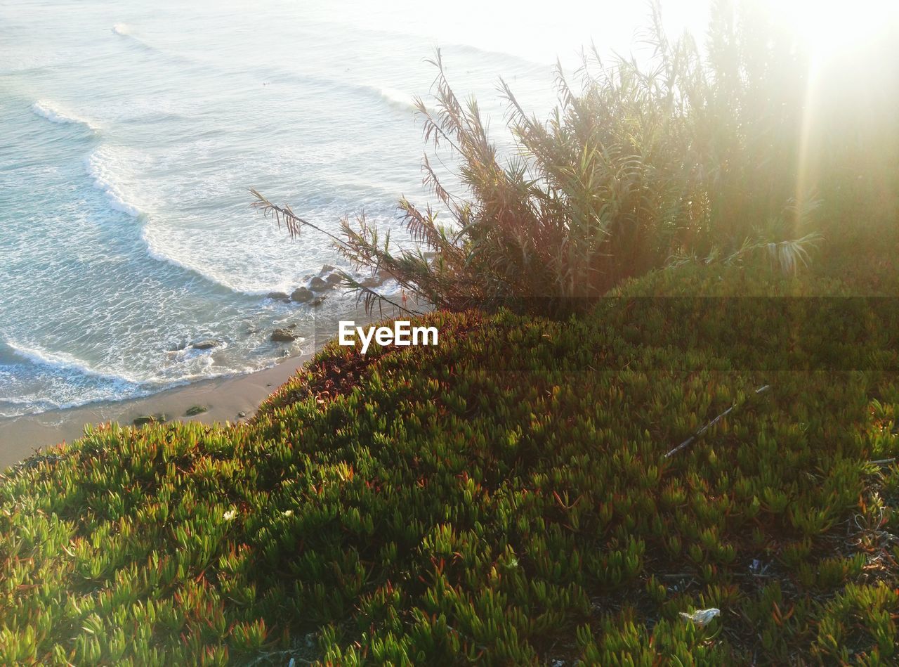 SCENIC VIEW OF BEACH AGAINST SEA