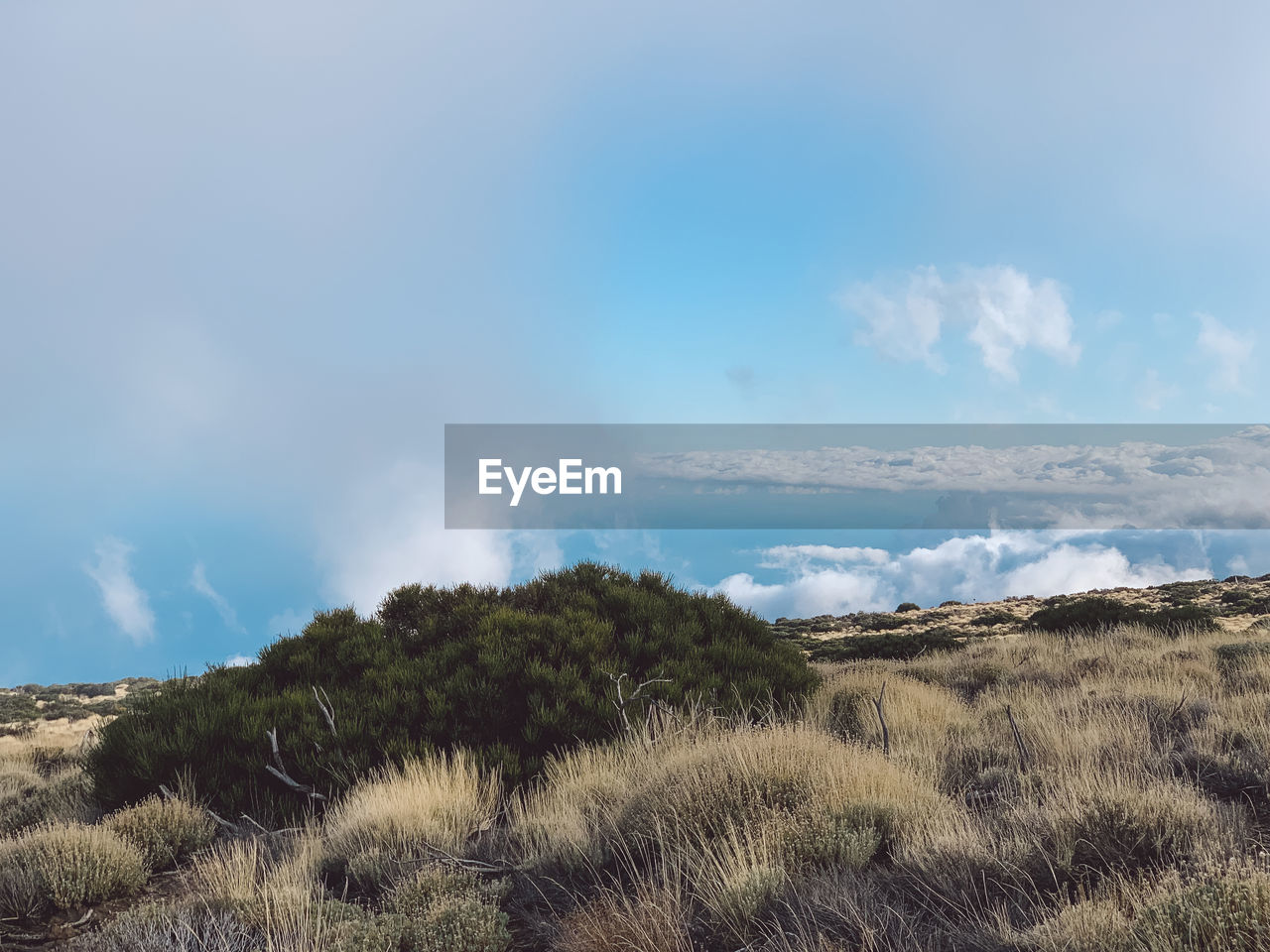 Scenic view of land against sky