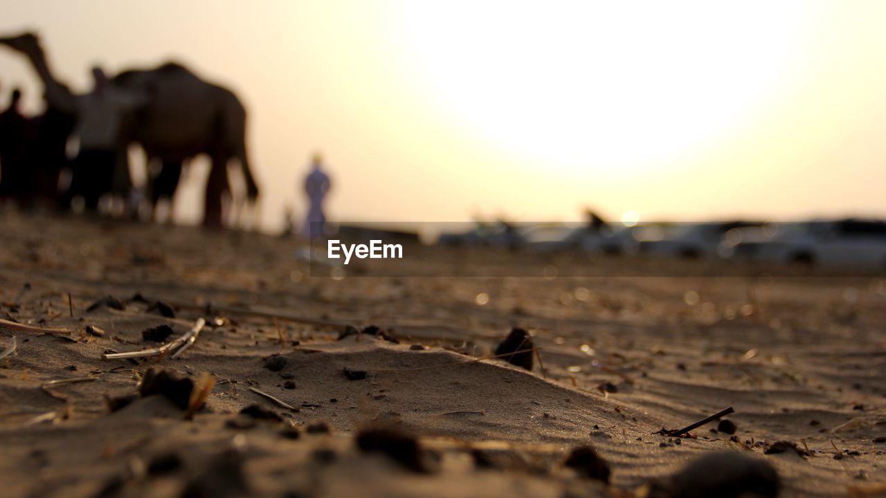 SURFACE LEVEL OF SANDY BEACH AGAINST SKY