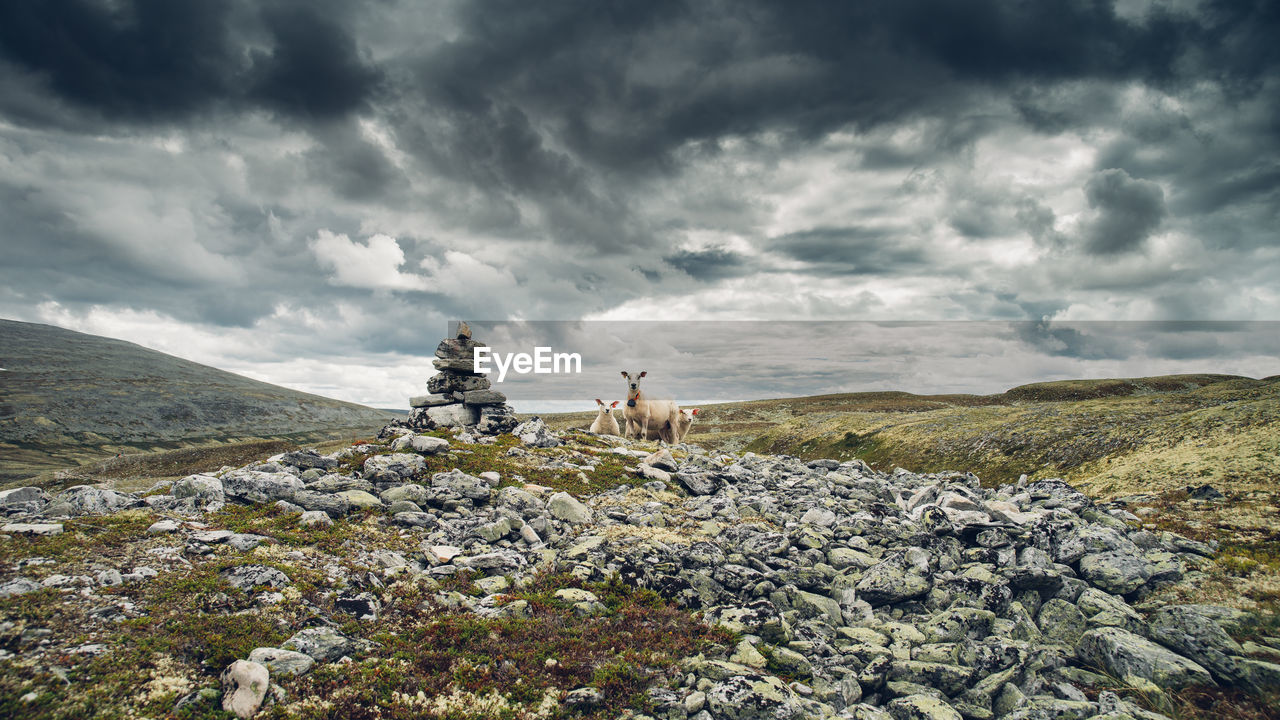 Scenic view of landscape against cloudy sky