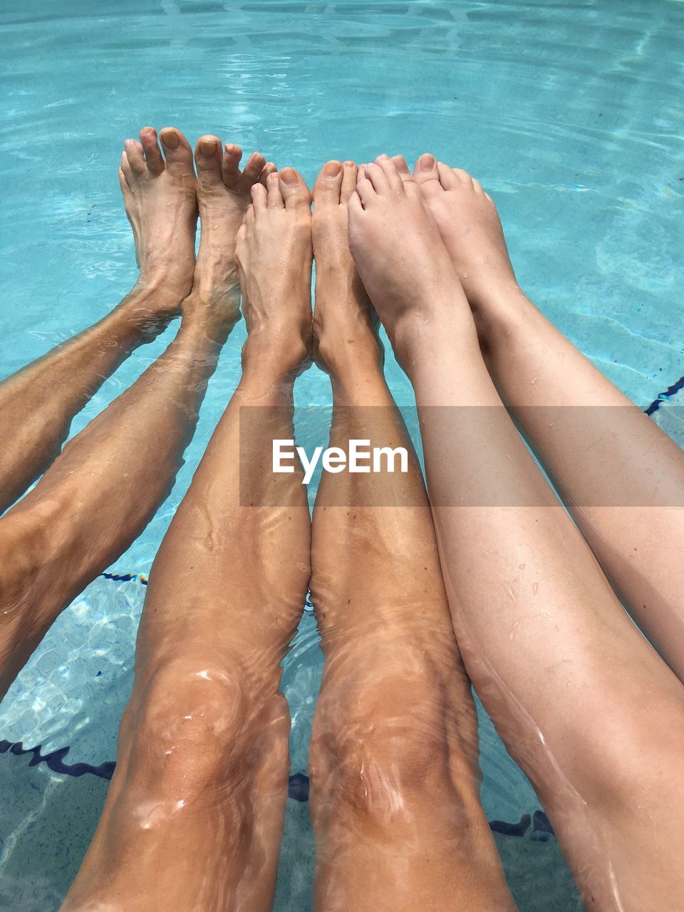 Low section of people in swimming pool