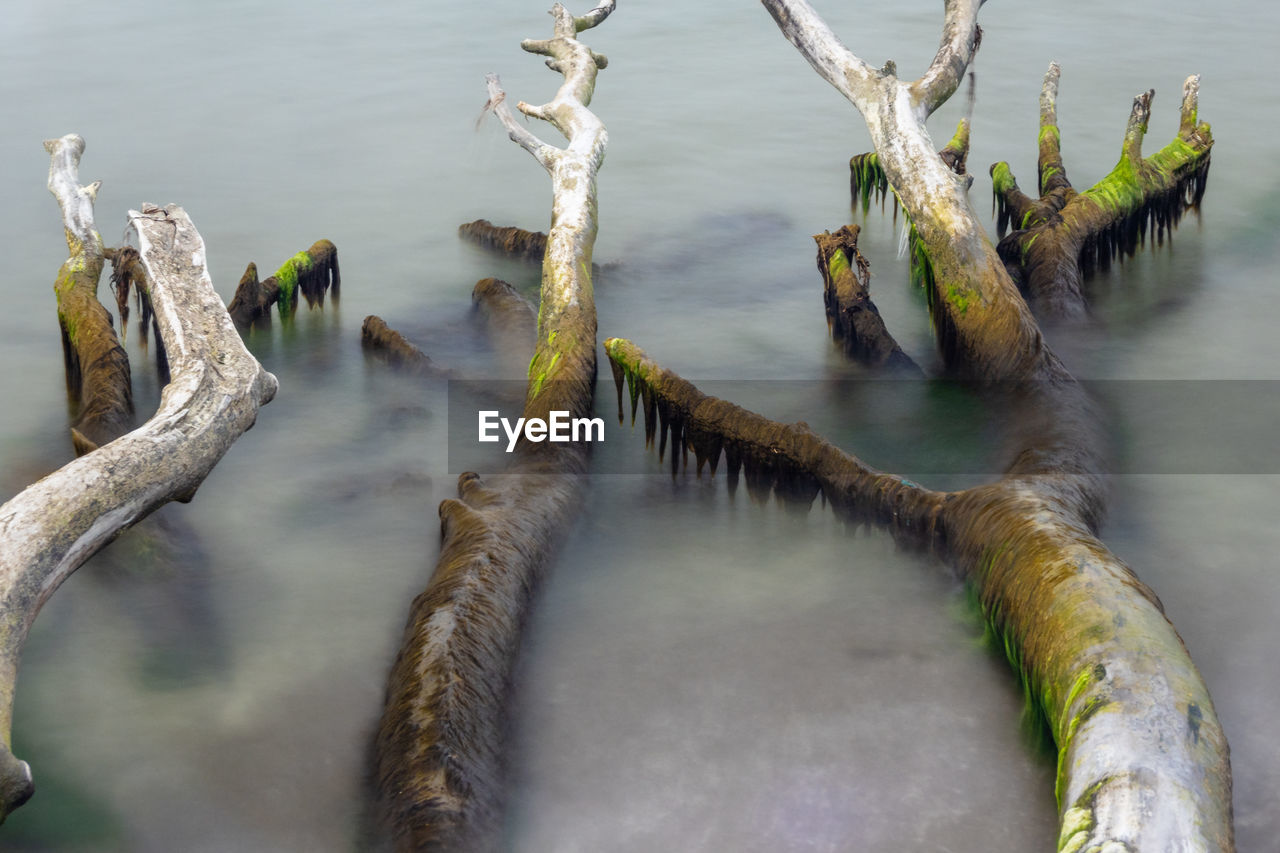 High angle view of wooden post in baltic sea