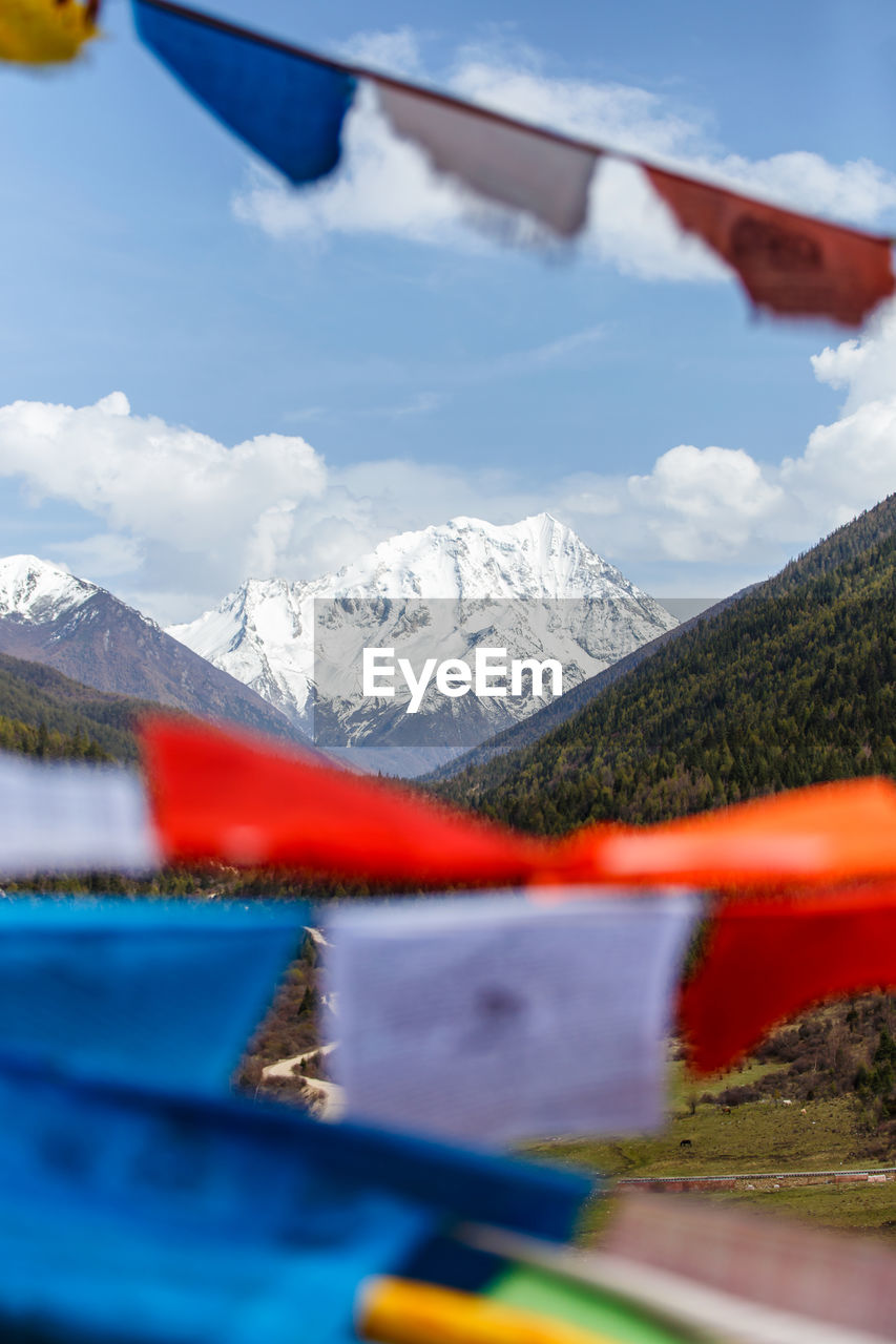 Close-up of bunting against snowcapped mountains
