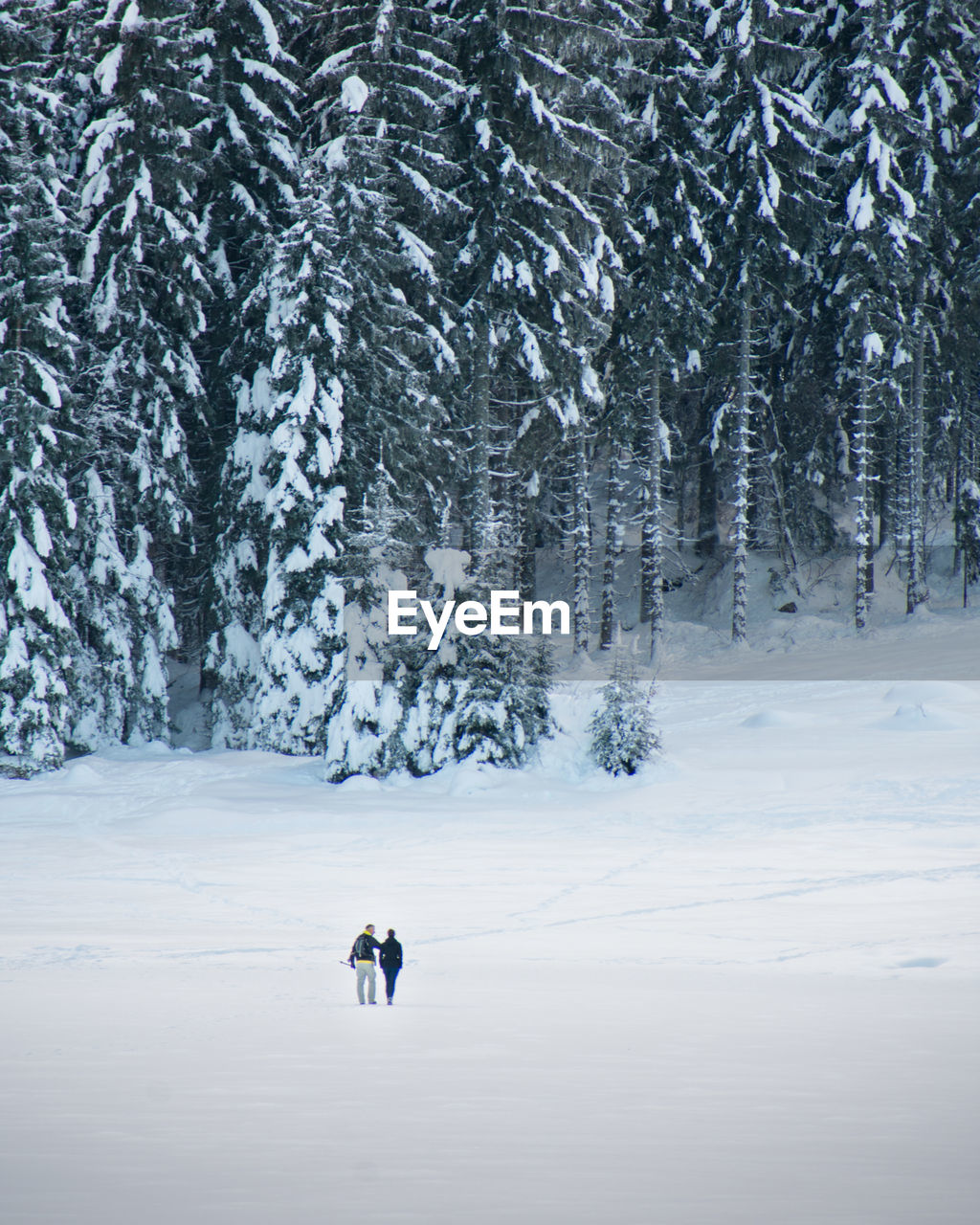 Distant view of couple standing on snowy land