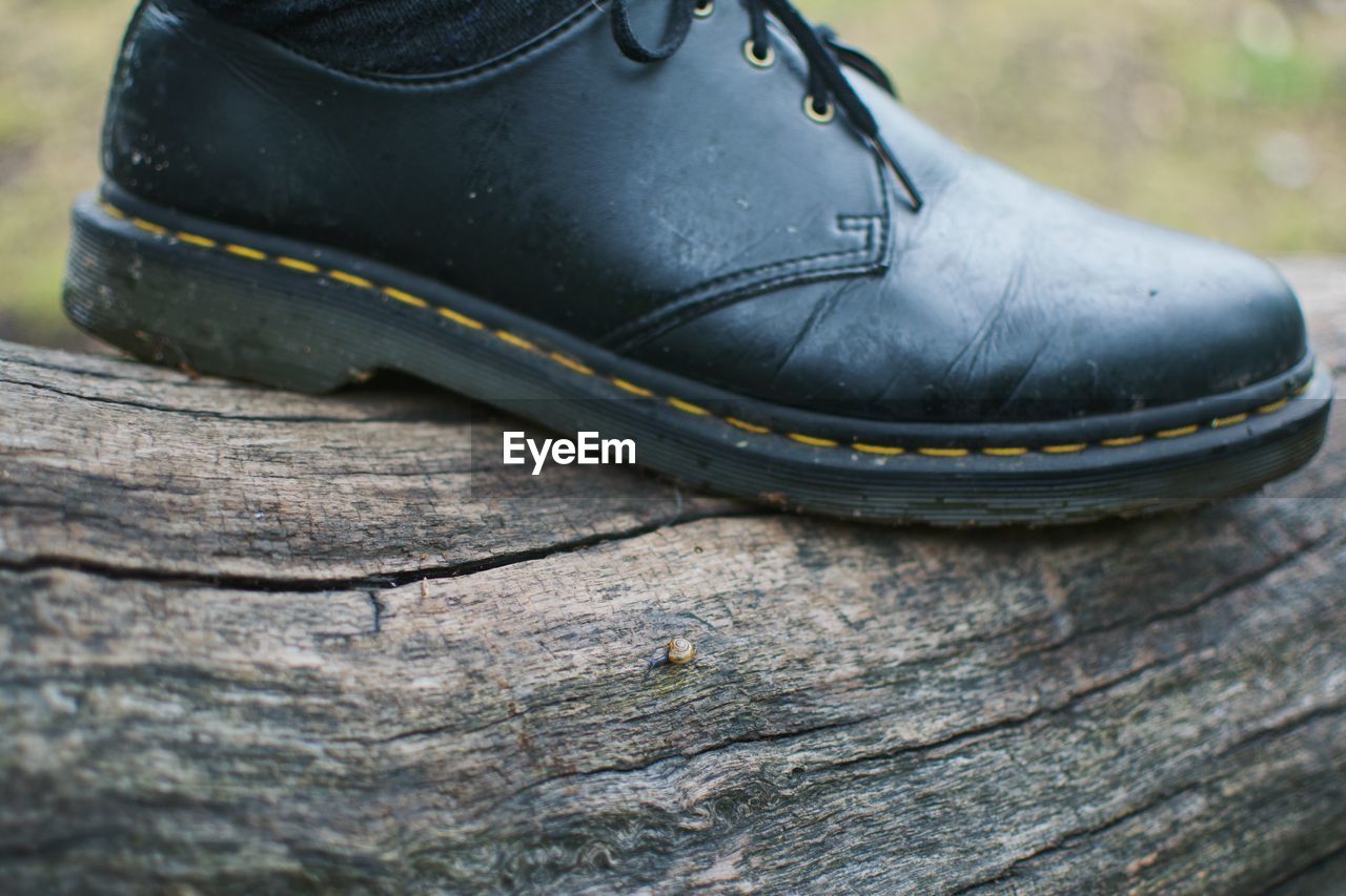 HIGH ANGLE VIEW OF BLACK SHOES ON WOOD