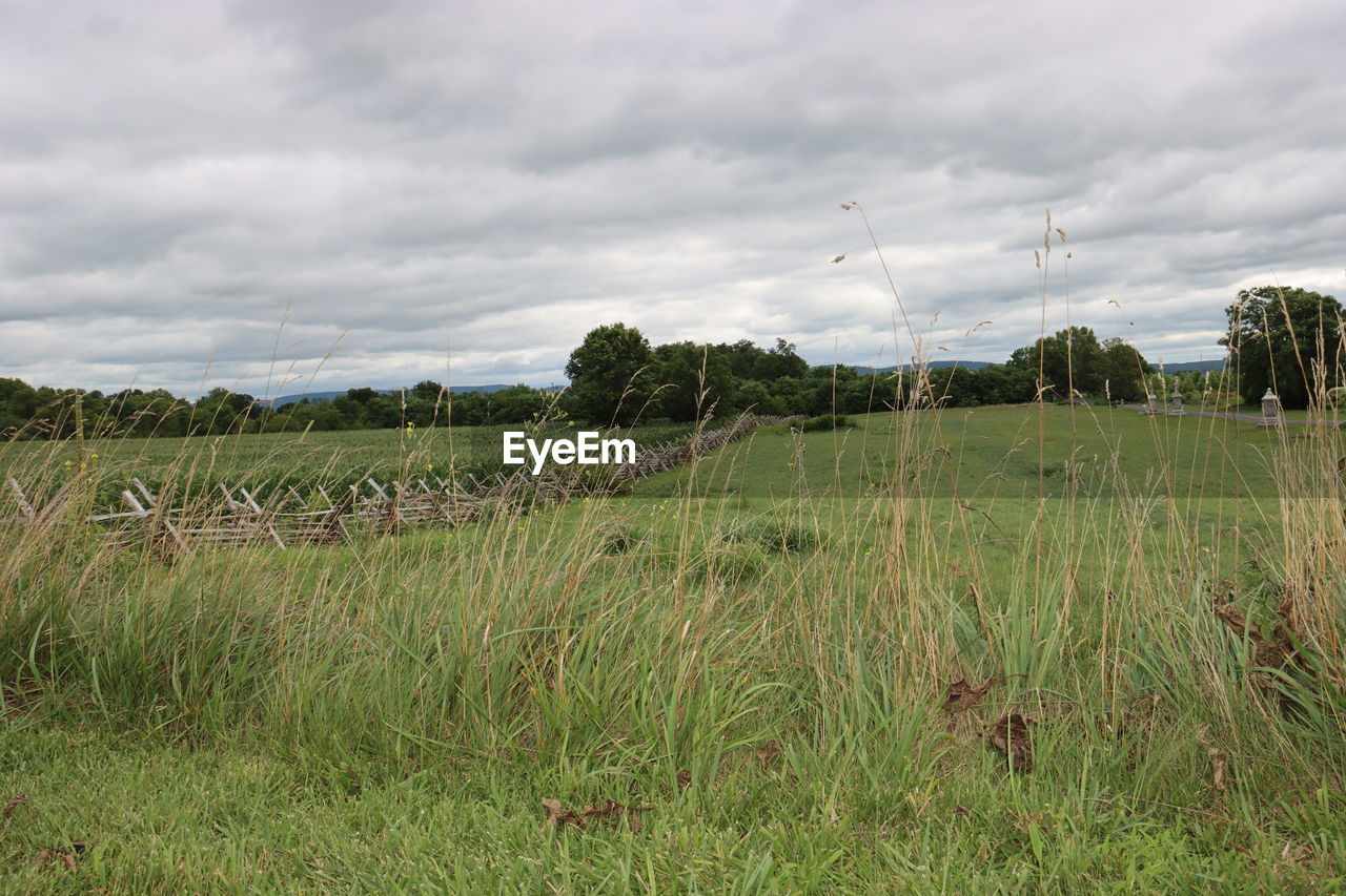 SCENIC VIEW OF FARM AGAINST SKY