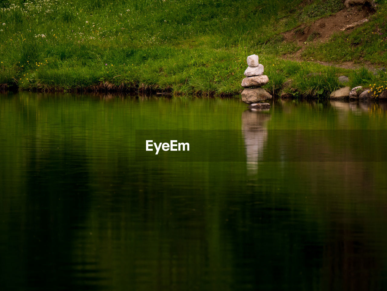 SCENIC VIEW OF LAKE WITH TREES IN FOREGROUND