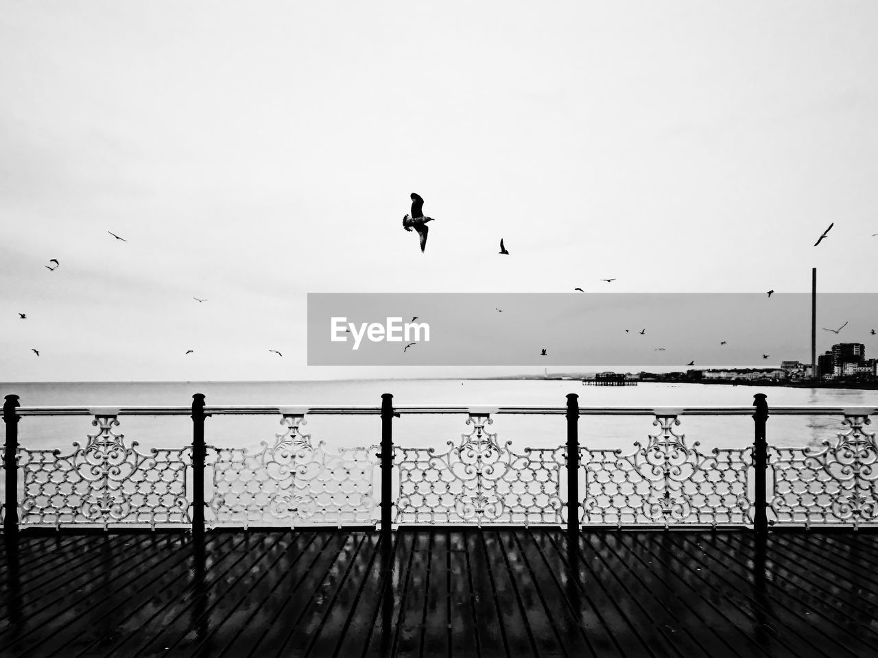 Seagulls flying over sea against clear sky during sunset on a pier