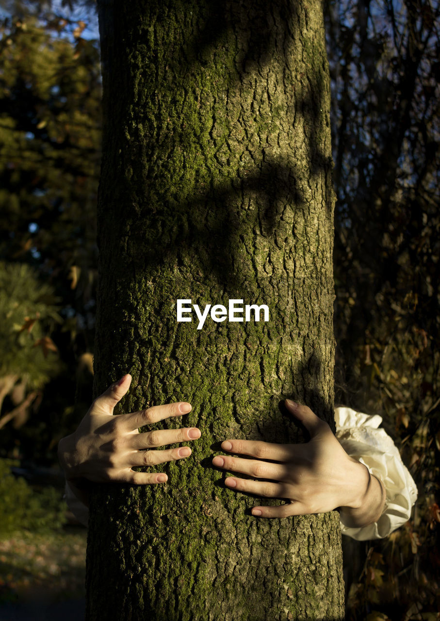 Woman holding tree trunk in forest