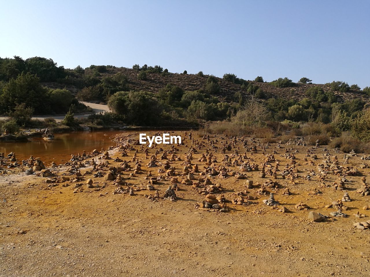 FLOCK OF BIRDS ON ROCKS AGAINST SKY
