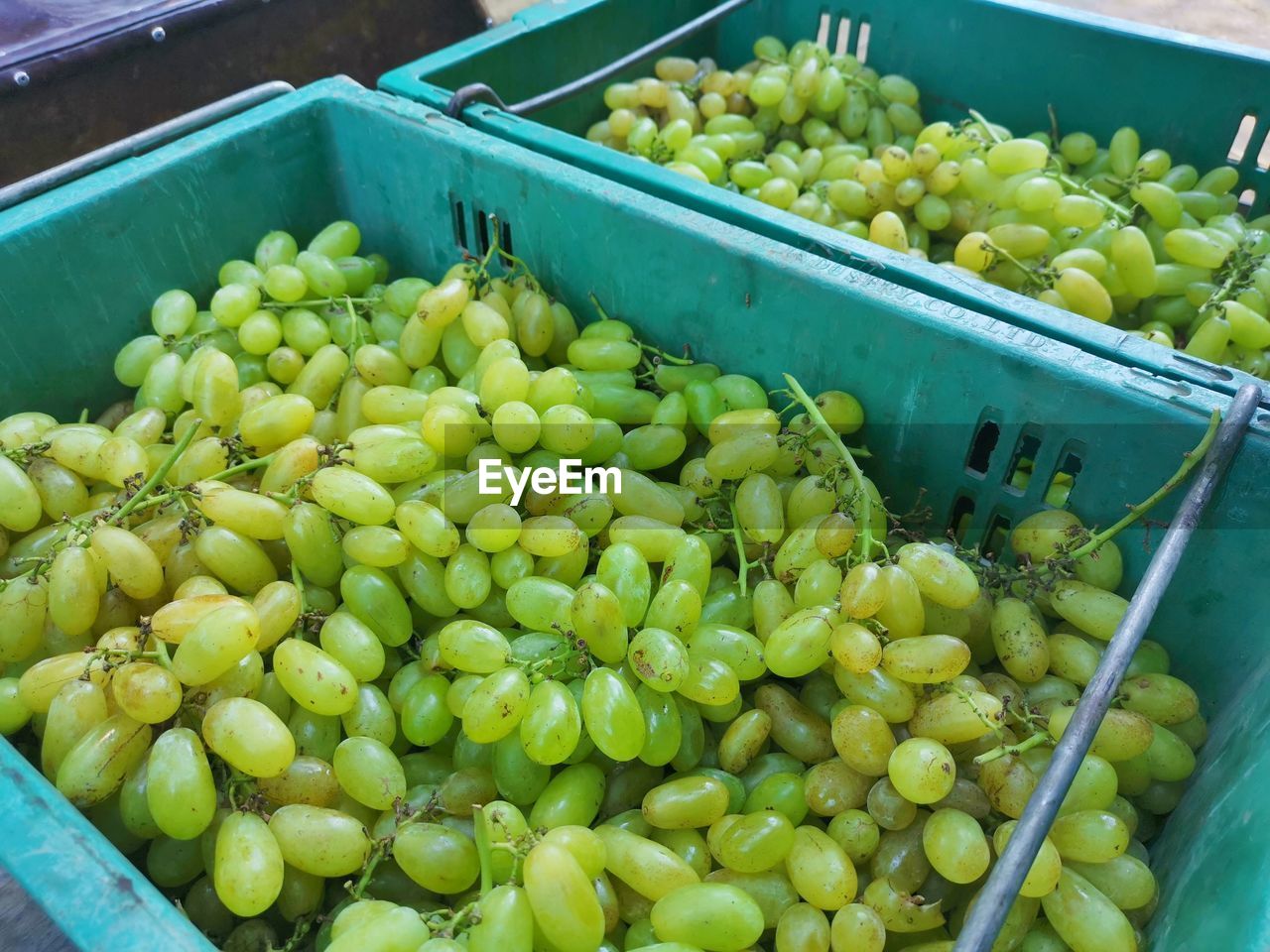 High angle view of fruits for sale in market