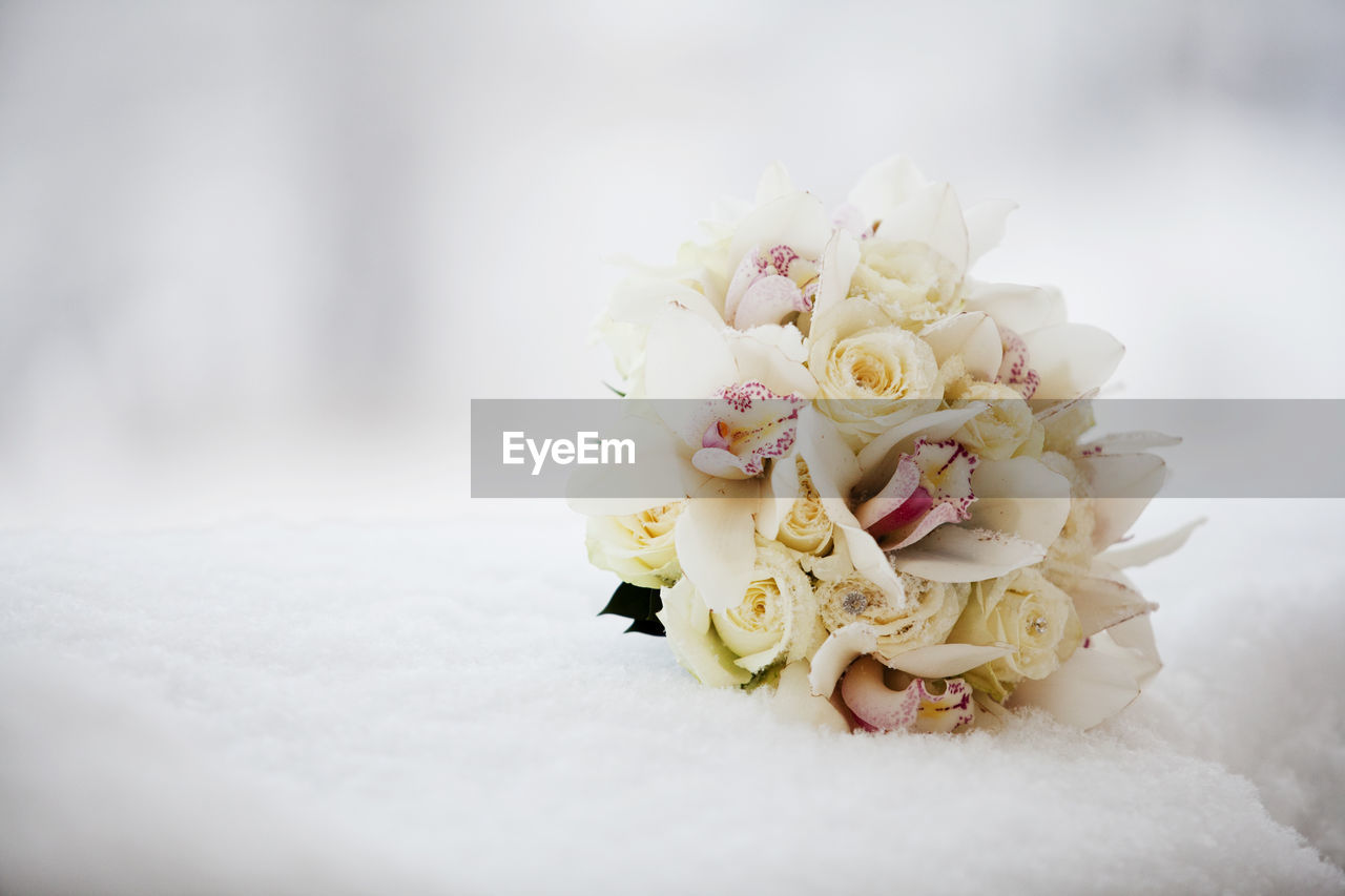 Close-up of rose bouquet