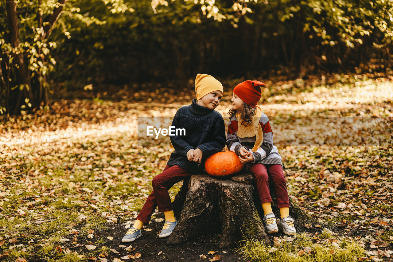 A little girl and a boy children are sitting on a tree stump with a large pumpkin in an autumn park