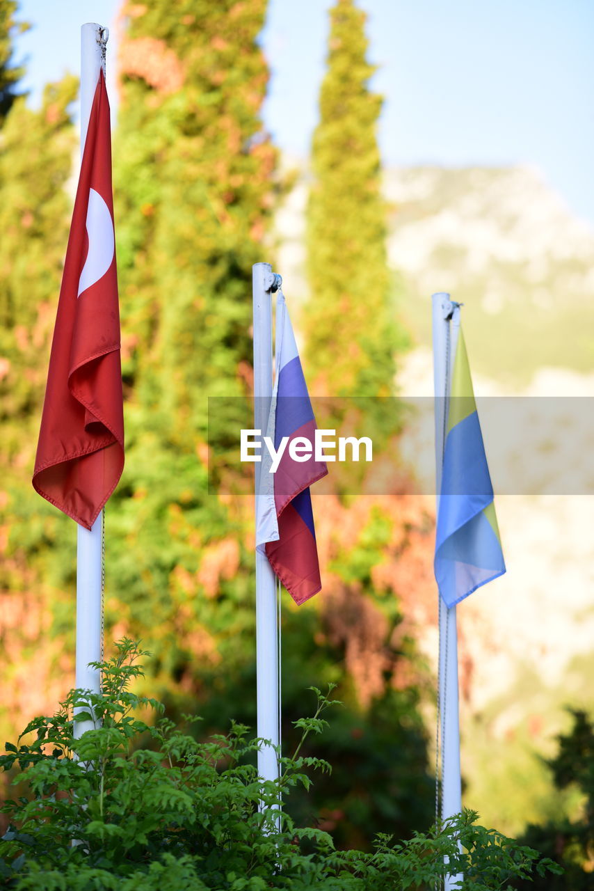 CLOSE-UP OF FLAGS ON FIELD AGAINST TREES